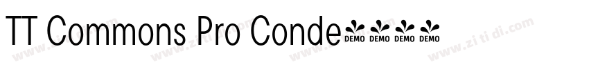 TT Commons Pro Conde字体转换